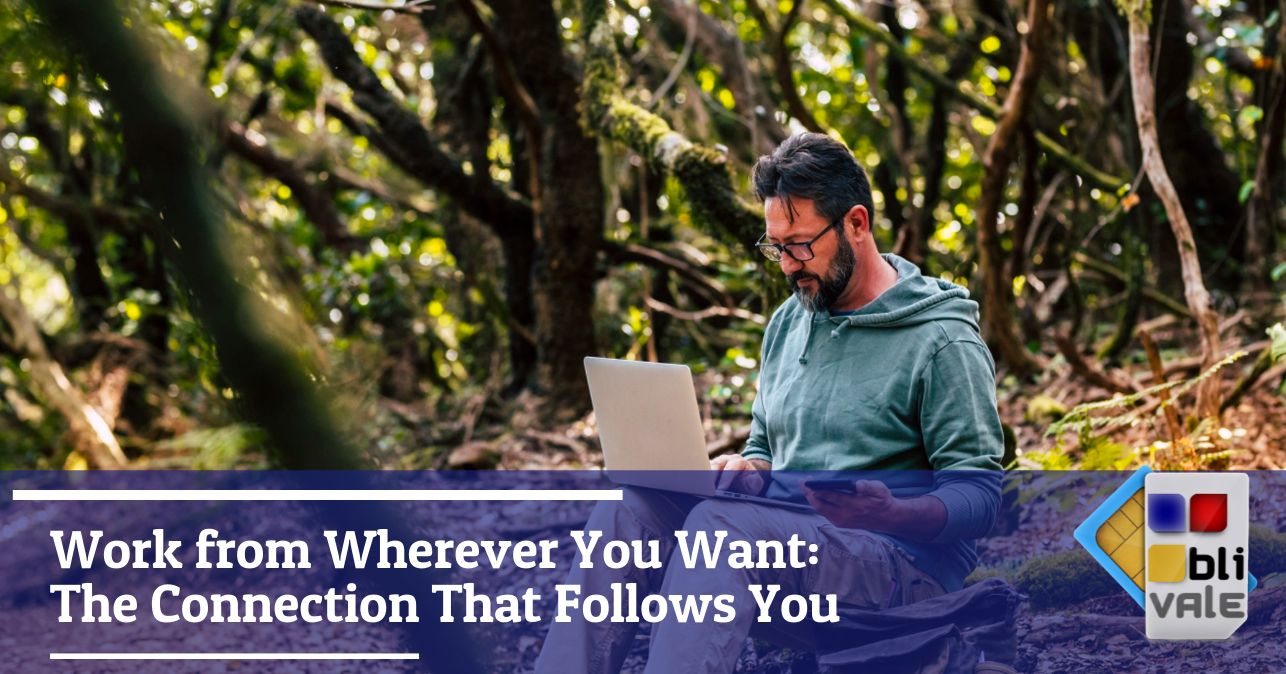 blivale_image_en_Work from Wherever You Want the Connection that Follows You_643x337 Work from Wherever You Want: The Connection That Follows You